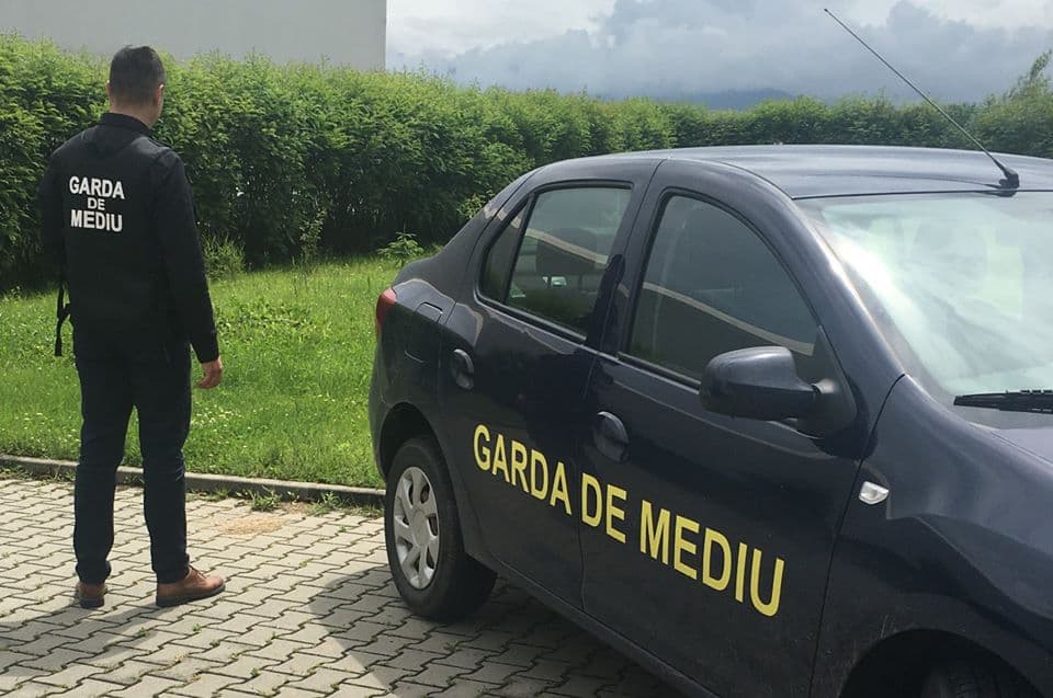 Garda de Mediu: Gradul de reciclare a scăzut în România. Amenzi de 17 milioane de lei, noi controale — Natură