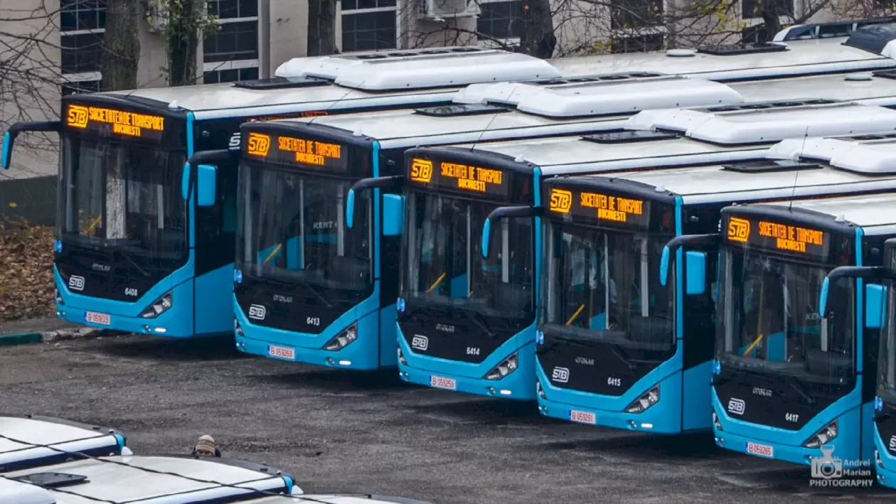 Autobuze If