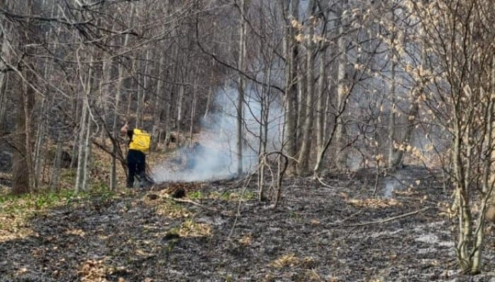 Incendiu V Doftanei