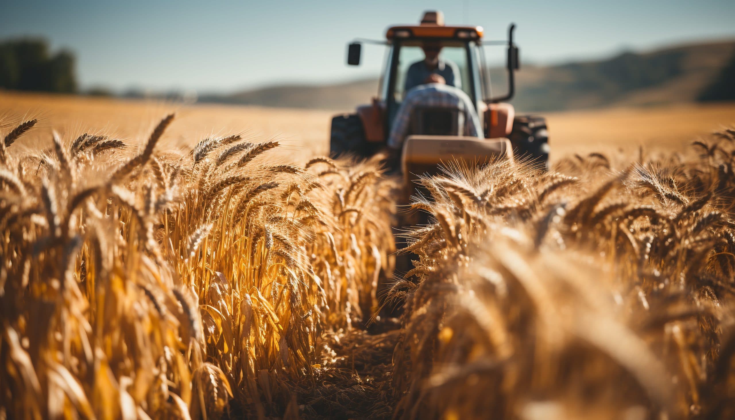 Agro Olt