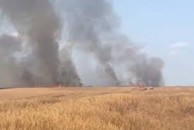 O suprafață mare cultivată cu grâu a fost mistuită de un incendiu în Ulieşti, Dâmbovița — Natură