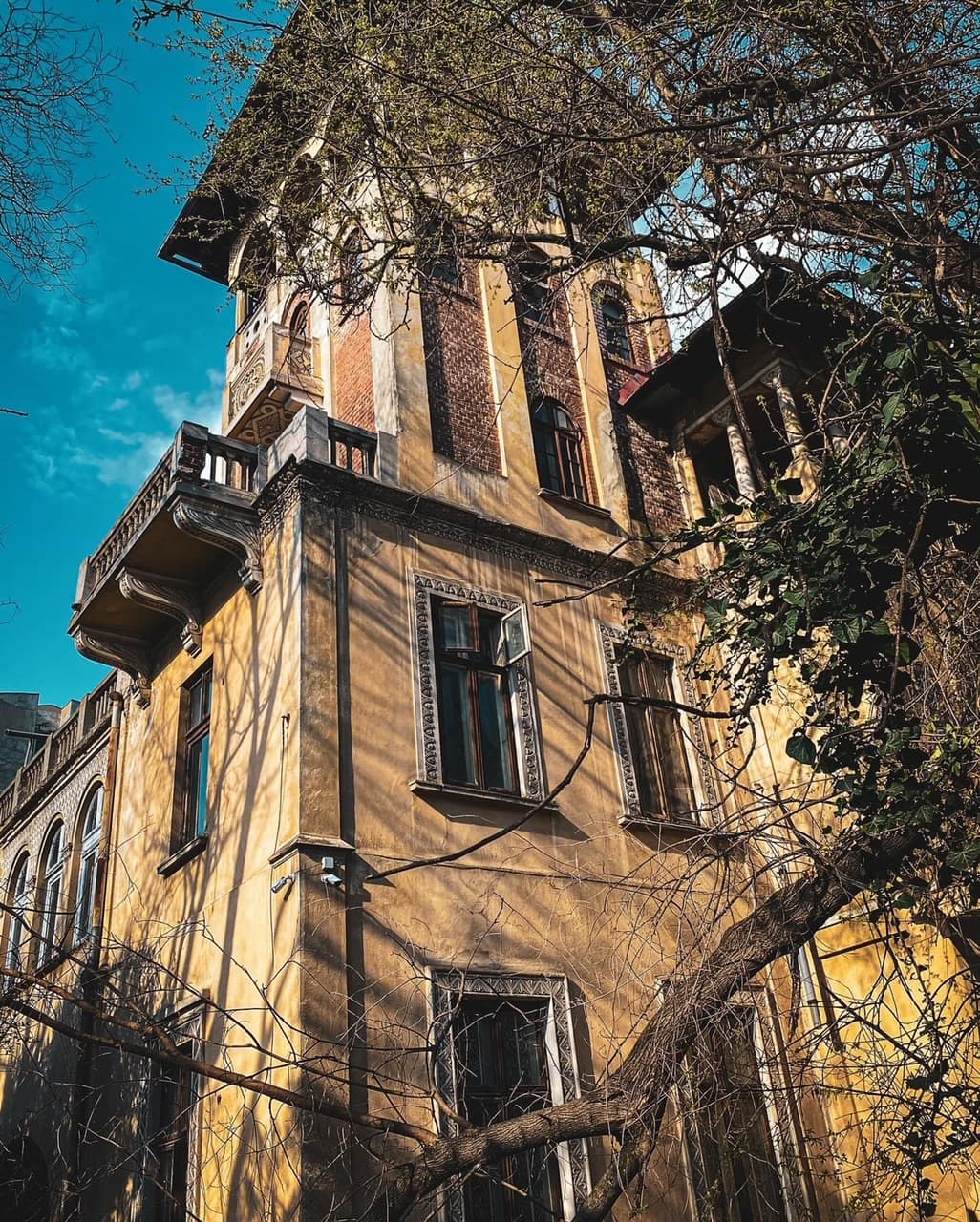 Casa Micescu 1