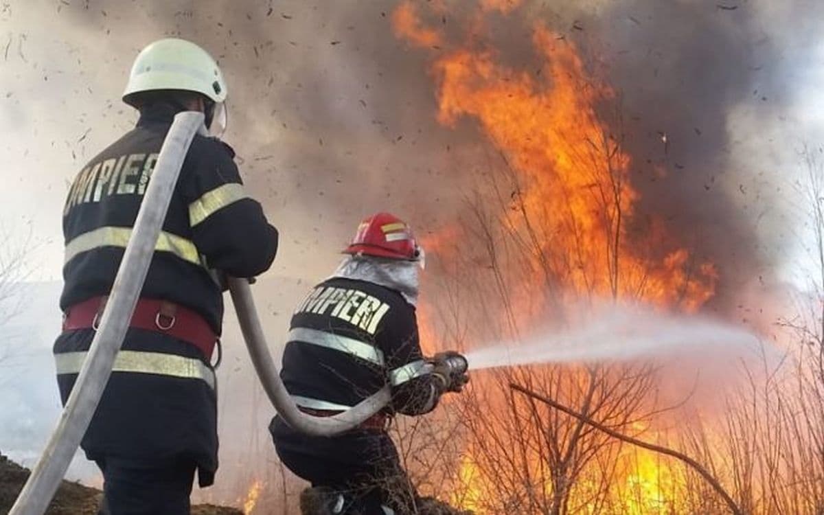 Incendiu de vegetație în Delta Dunării