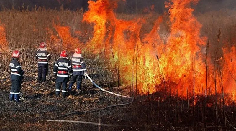 Incendiu-Vegetatie-Uscata