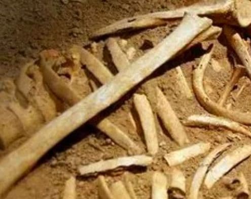 Importantă decoperire arheologică: rămăşiţe umane şi vestigii arheologice datând din preistorie, la 