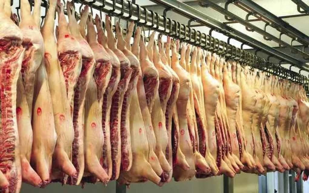 Carne Porc Jpg