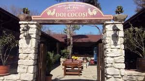 restaurant doi cocosi