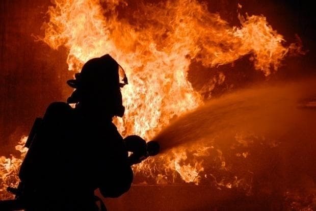 Incendiu Adapost Animale