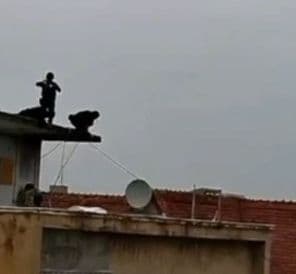 Alertă în București: Bărbat surprins cu o armă pe terasa unui bloc — Justiție