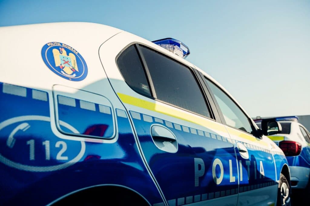 Un tânăr din Ialomiţa a fost reţinut după ce a lovit intenționat un câine cu maşina, într-o benzinăr — Justiție