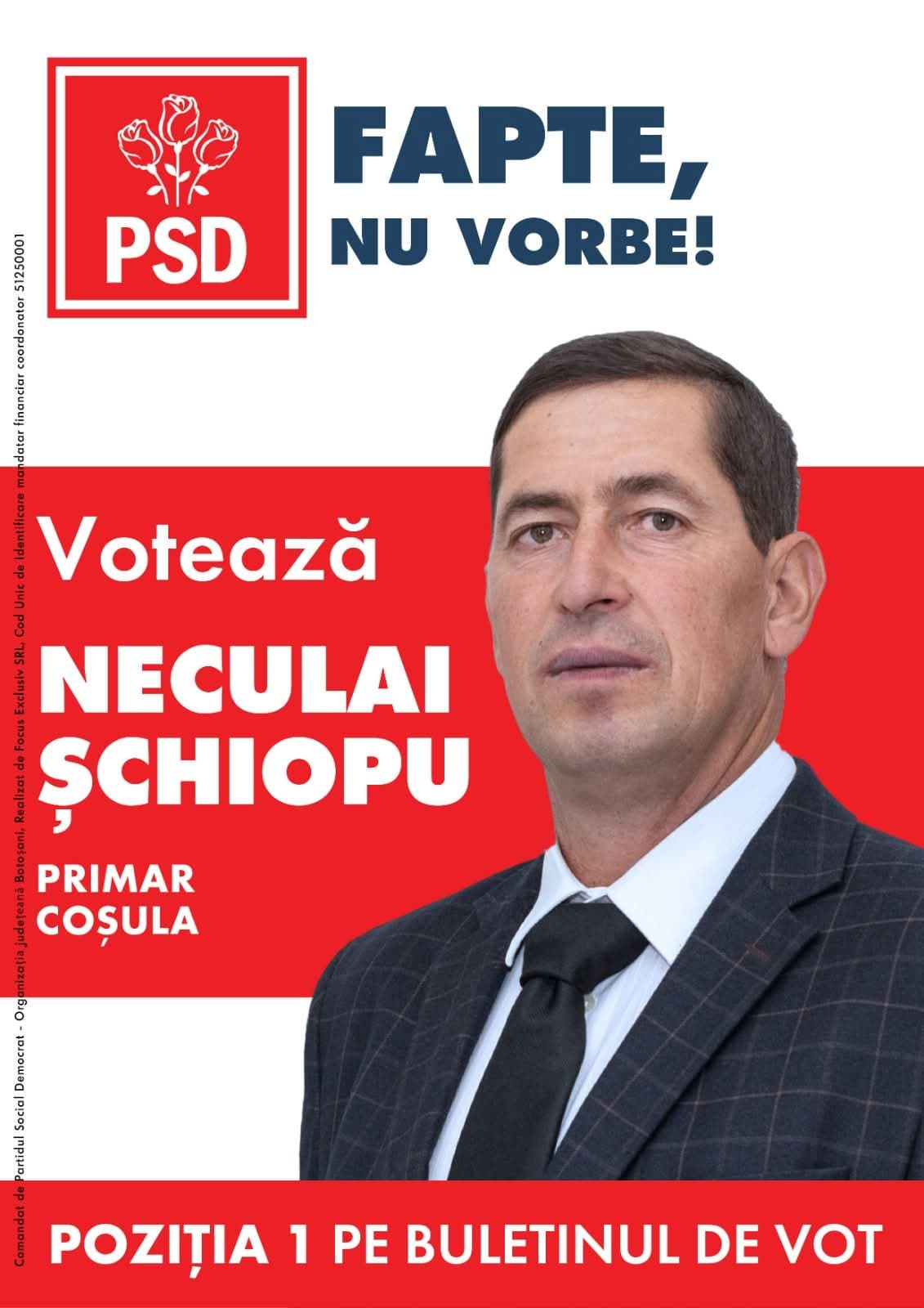 Afis primar PSD Parchetul European 