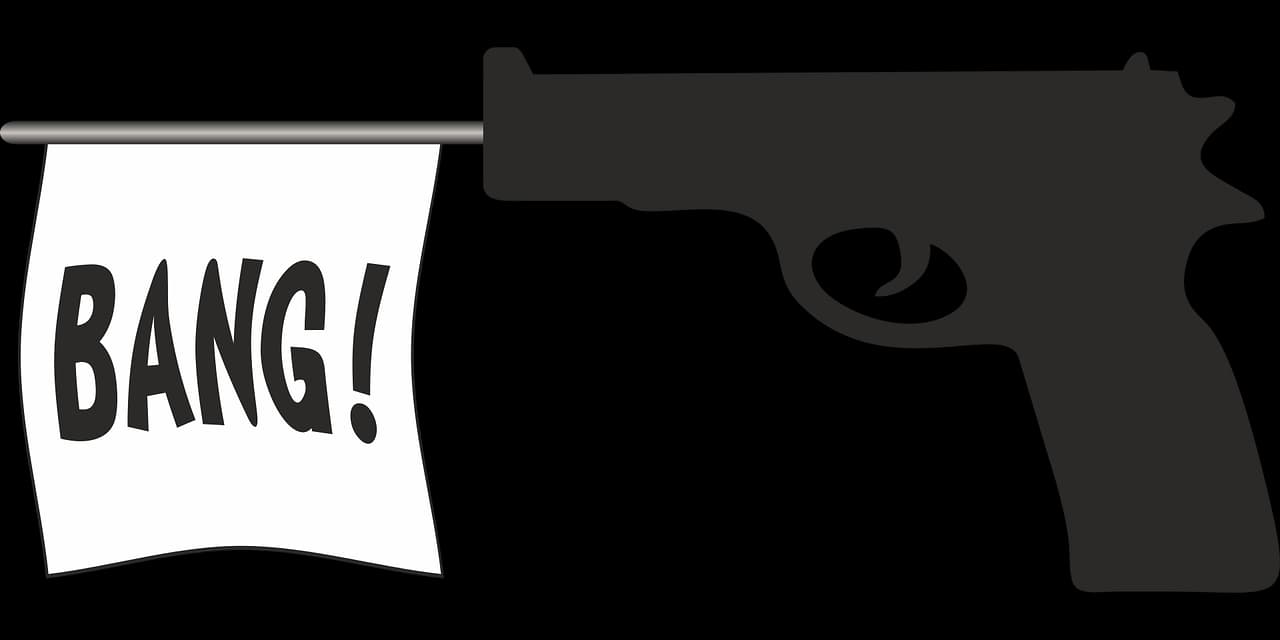 Pistol