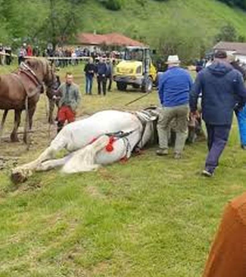 Cam Mort Romania