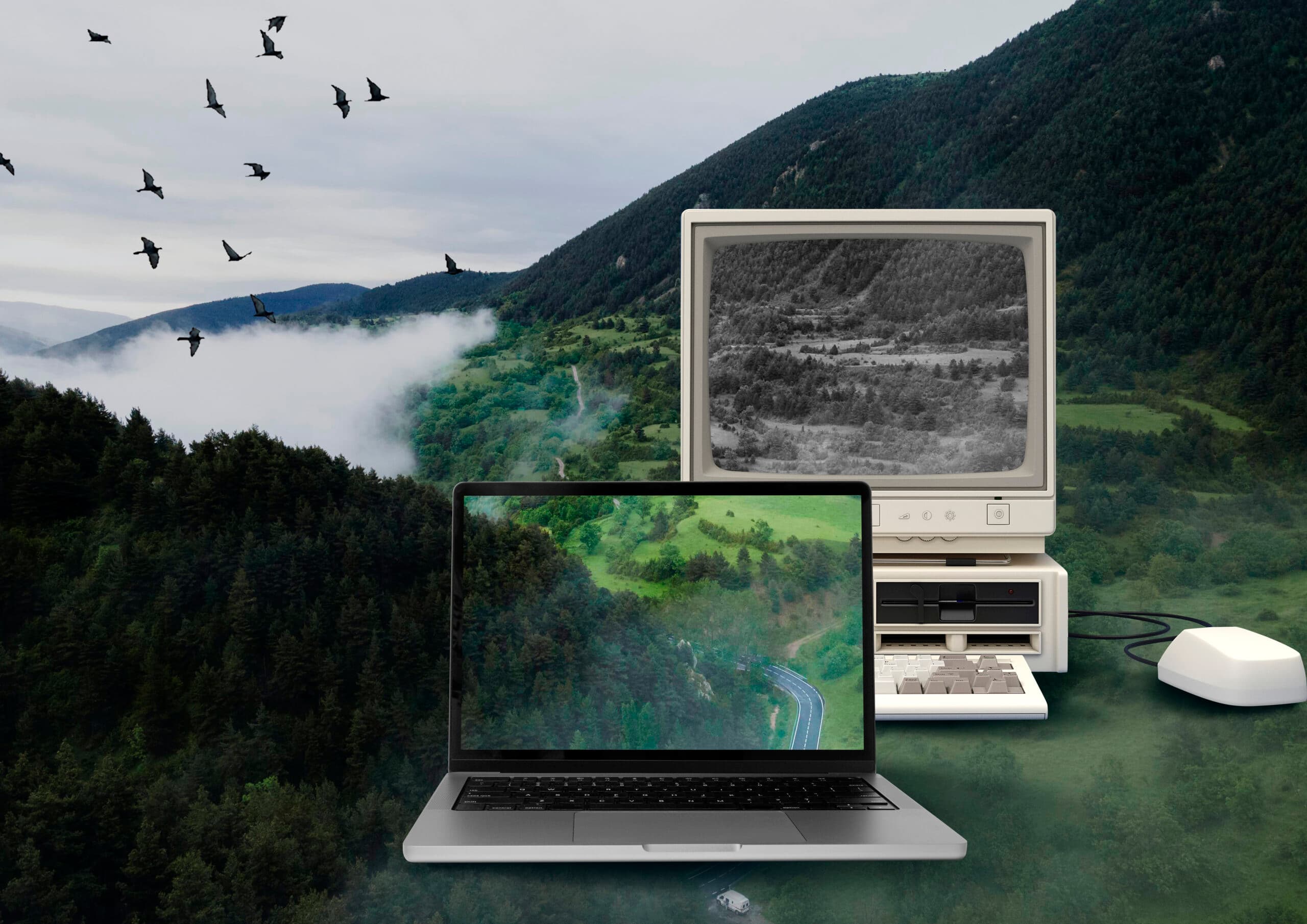 Laptop Nature Concept