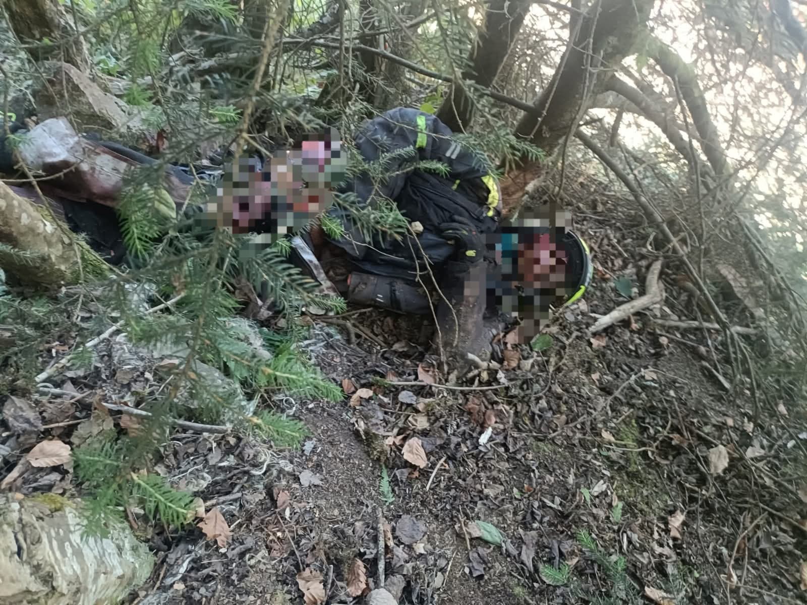 Șocant. Motociclist ucis de un urs pe Transfăgărășan. Incidentul s-a petrecut în apropierea barajului Vidraru
