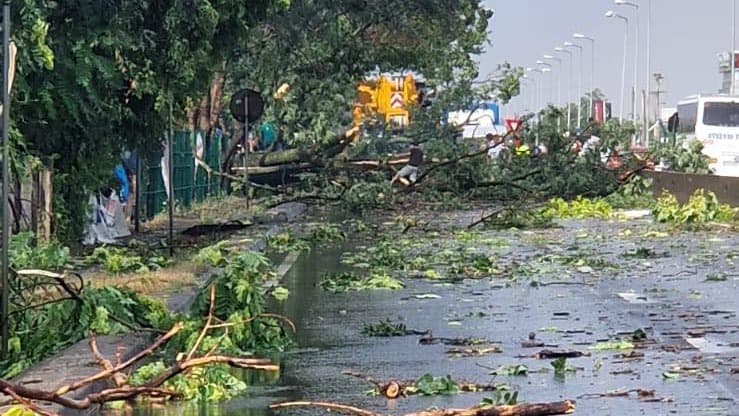 Furtuna Bucuresti