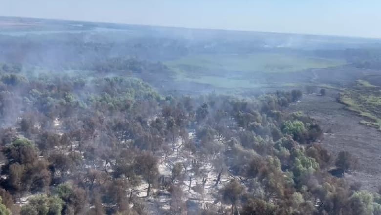 incendiu Delta Dunarii