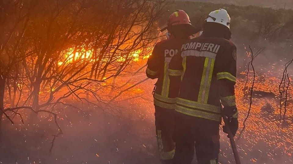 Incendiu puternic în Ilfov: șapte hectare de vegetație, o casă și două mașini distruse de flăcări — Natură