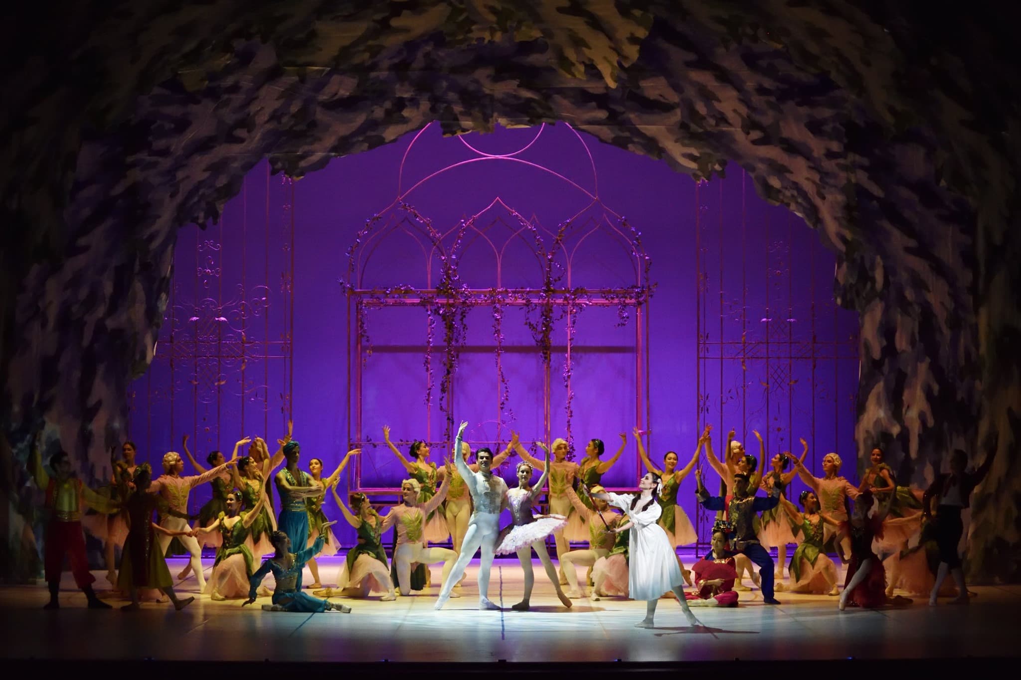 Spărgătorul de nuci, Callas – Oana Pellea, Don Giovanni și Povestirile lui Hoffmann, în a doua parte a lunii noiembrie pe scena Operei Naționale București