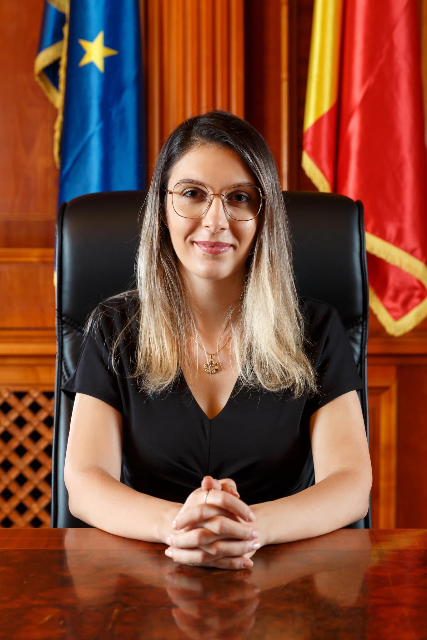 Diana Buzoianu birou