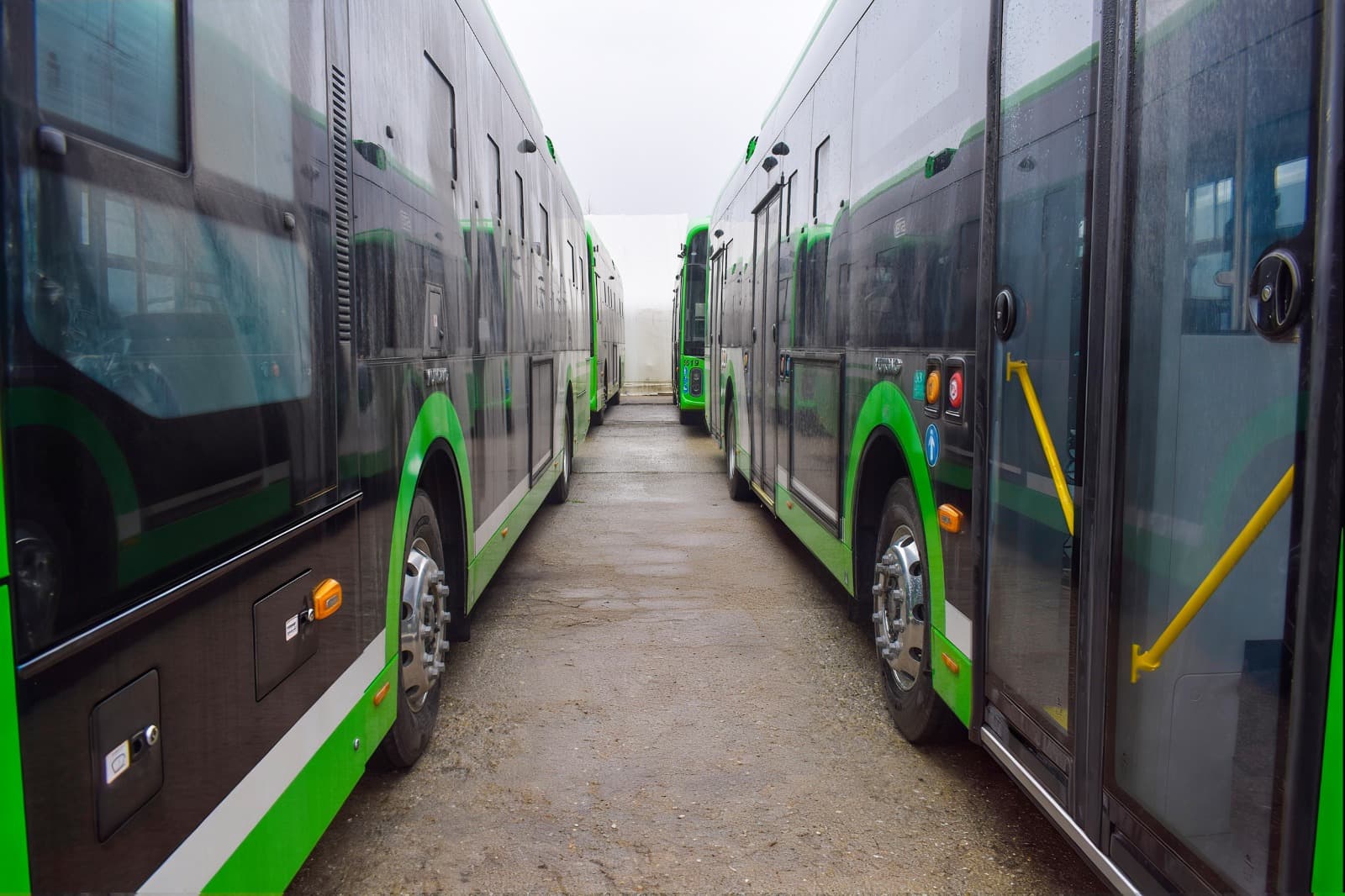 Autobuz STB în trafic, pe o stradă din București