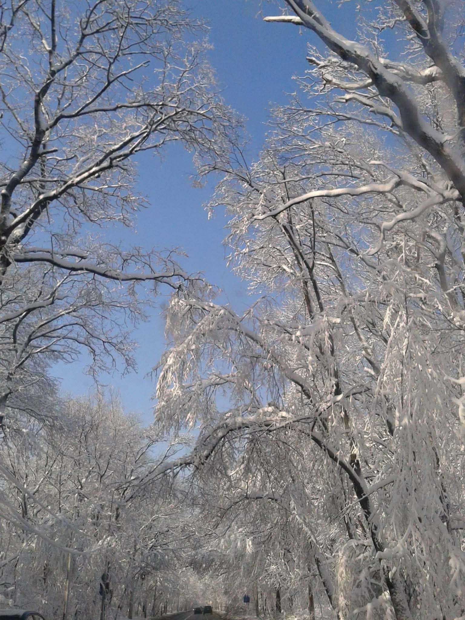 Ger sever în România: temperaturi mult sub normalul perioadei