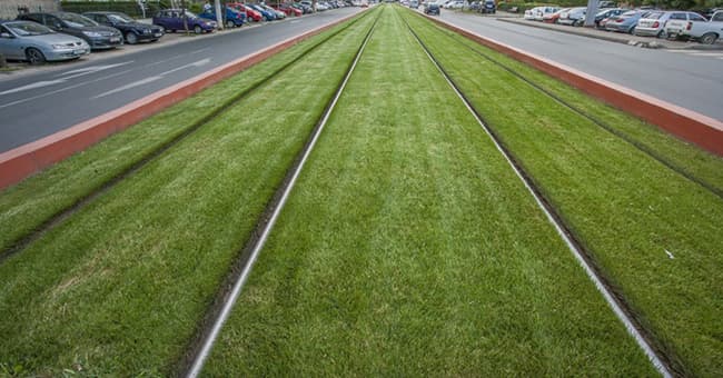 Linie-tramvai-iarba