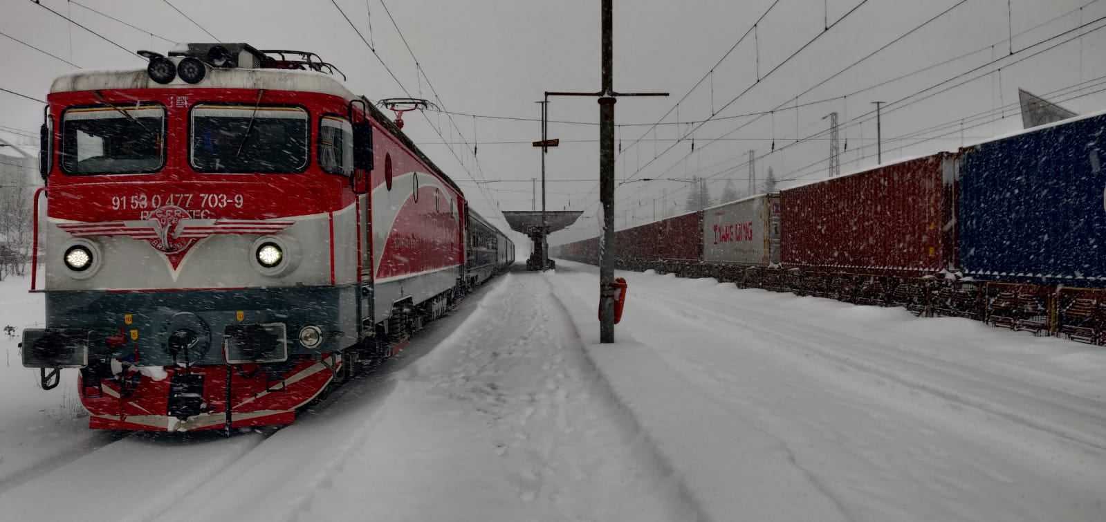 20 de trenuri, suspendate din cauza ninsorilor. Ruta Ploiești–București, închisă după ce copacii au căzut pe linia de contact