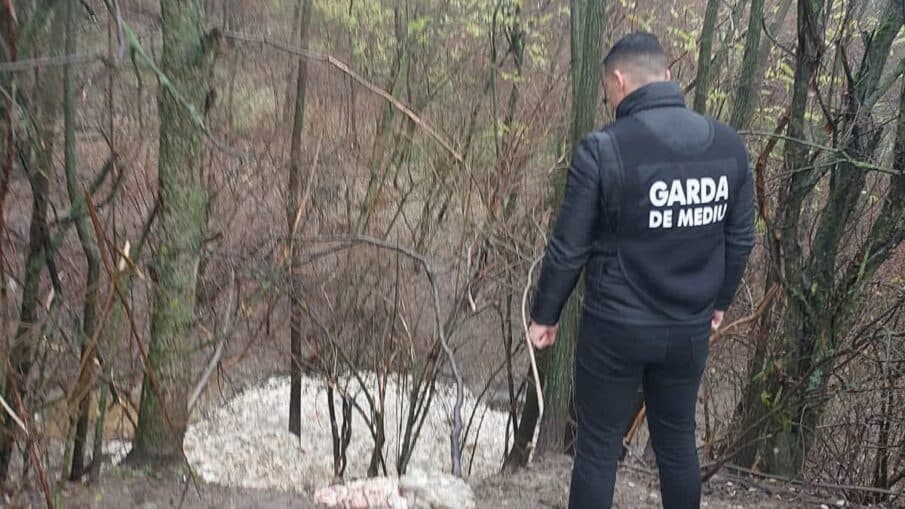 garda-de-mediu-arges
