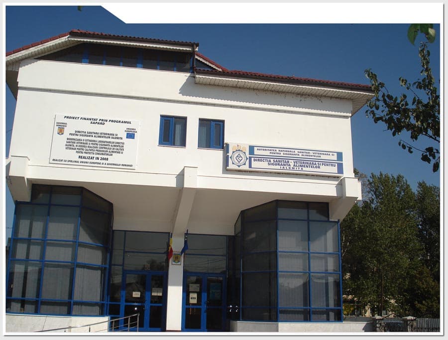 DSVSA Ialomița a verificat adăposturile pentru câinii fără stăpân: nereguli privind informarea publicului și evidența activităților
