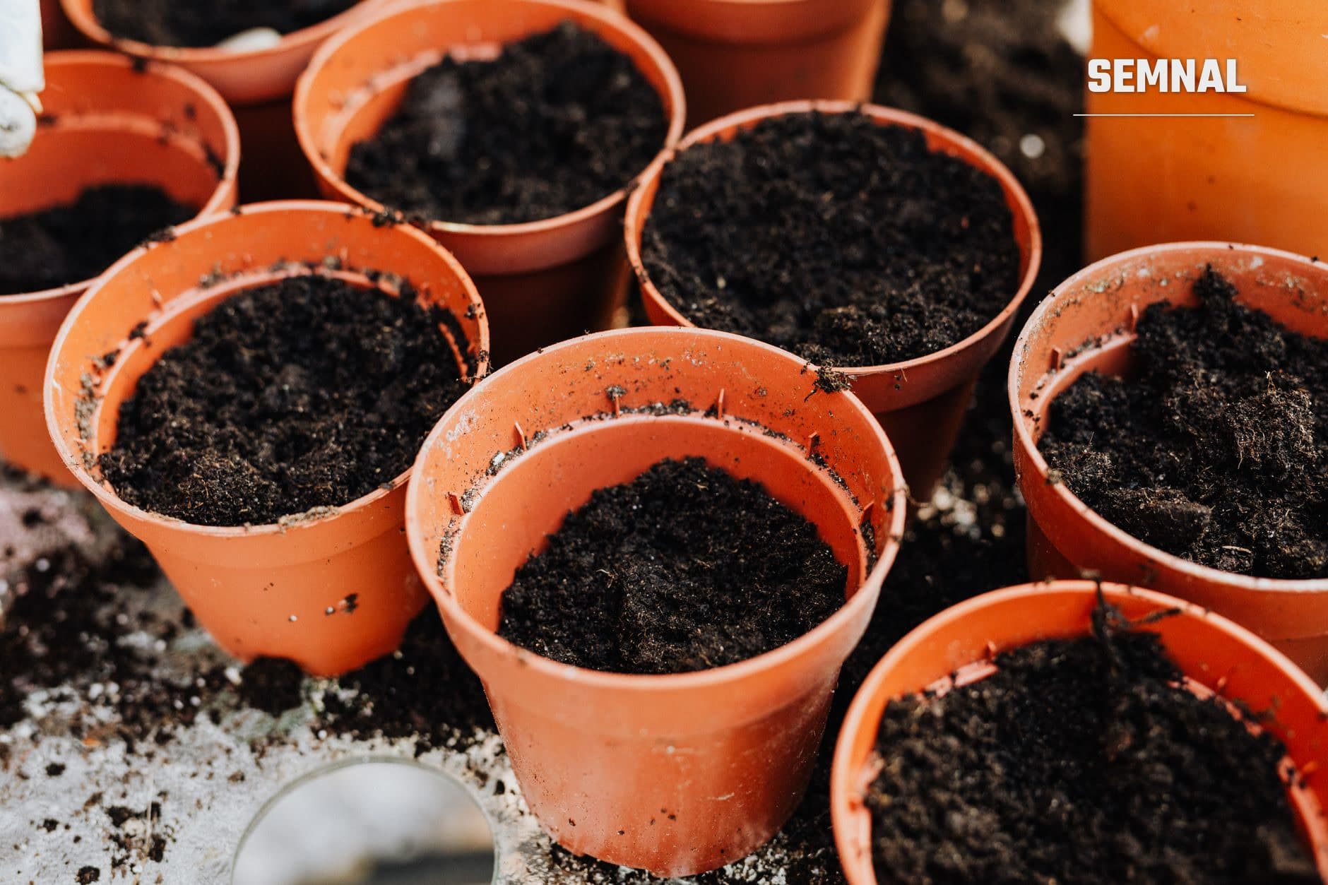 Ghivece din ceramica portocalie umplute cu pamant negru si fertilizant, pregatite pentru plantat legume pe balcon
