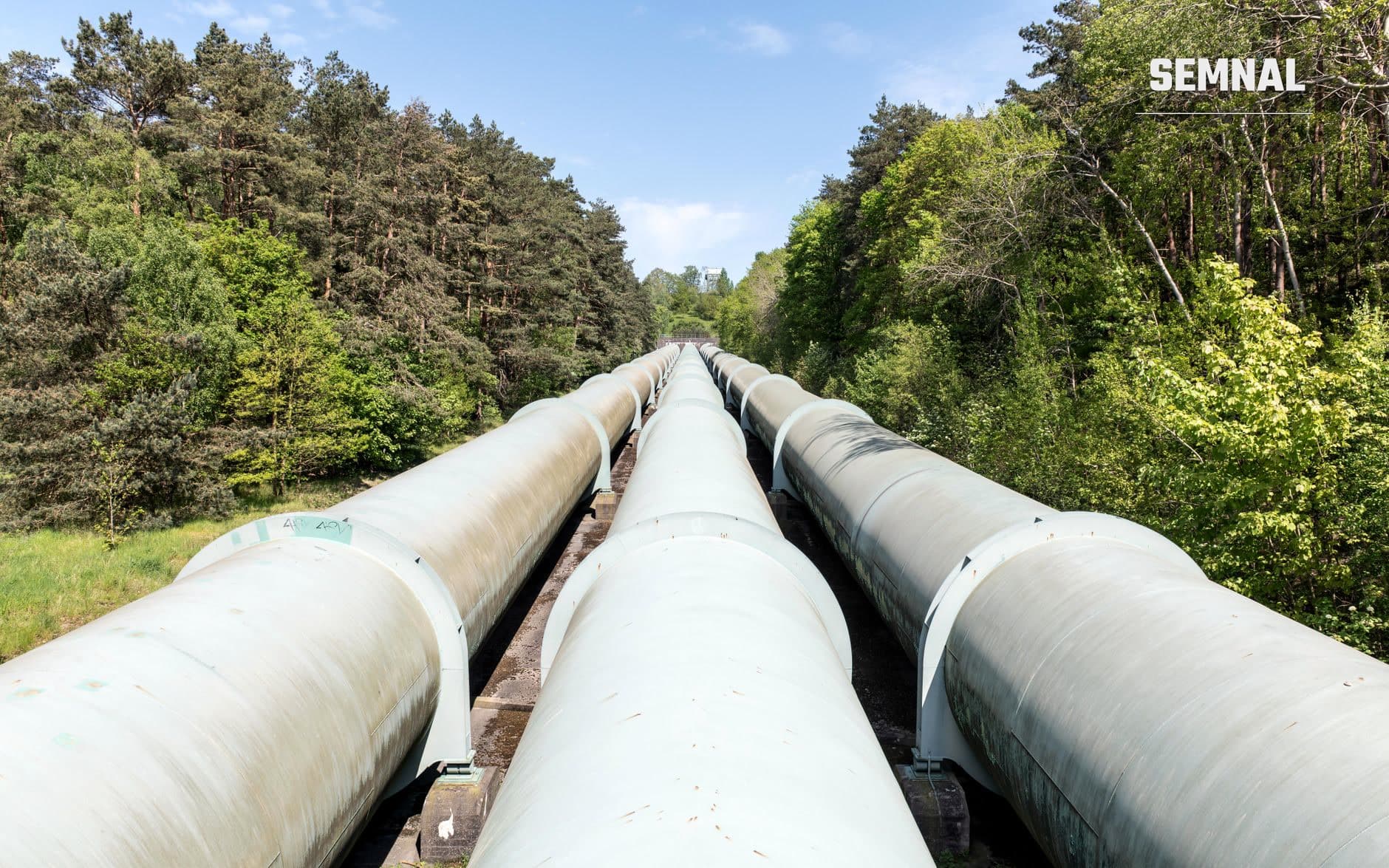 Trei gazoducte metalice masive paralele care traversează o pădure densă, reprezentând infrastructura de transport energetic de importanță critică în Europa (Foto: Wolfgang Weiser / Pexels)