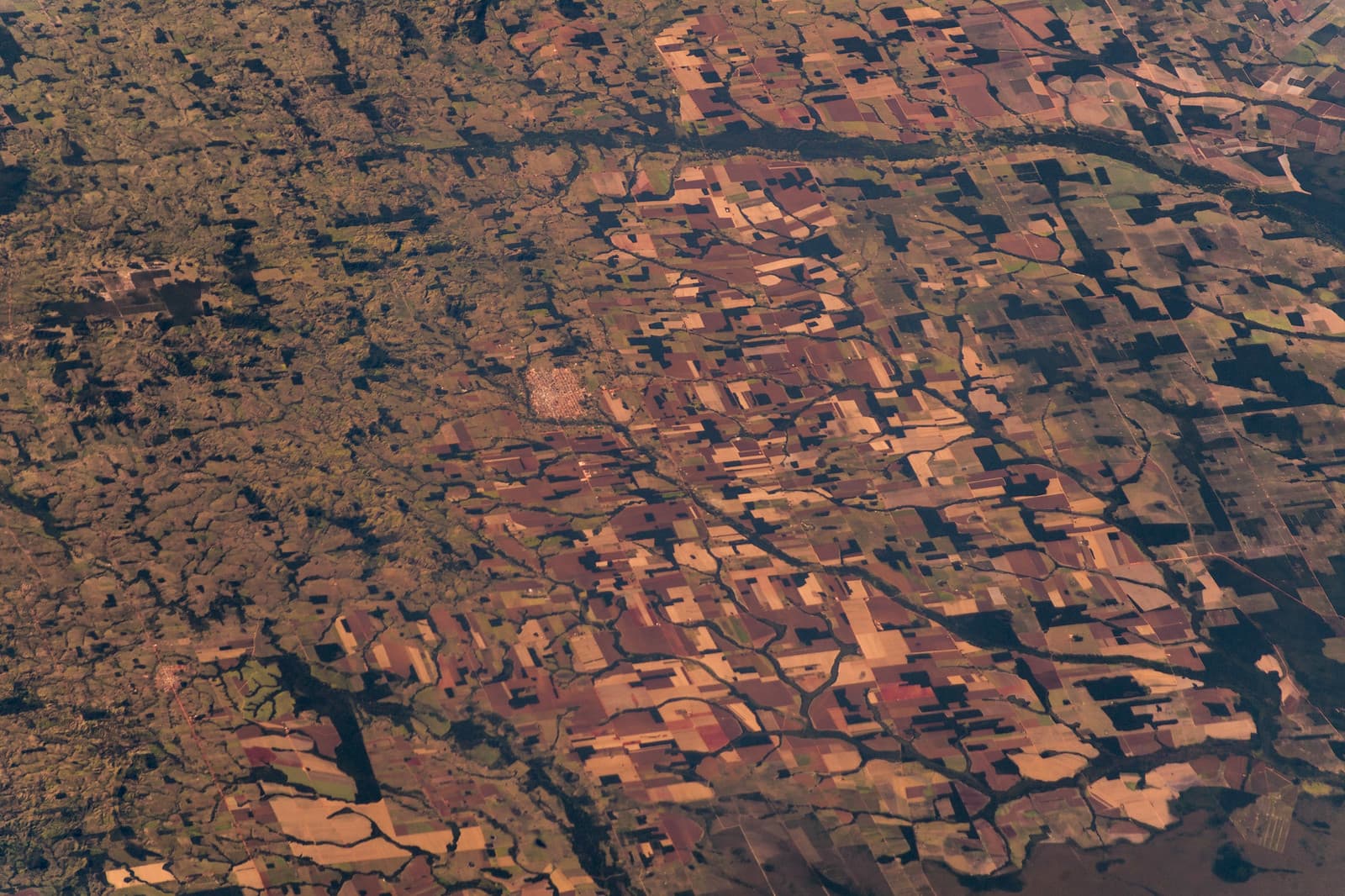 Fotografie satelitară a pădurii amazoniene, cu vegetație densă și un curs de râu