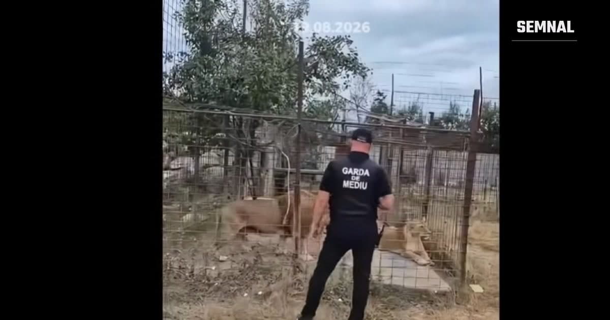 Cușcă specială folosită pentru transportul unui animal sălbatic evacuat dintr-o menajerie