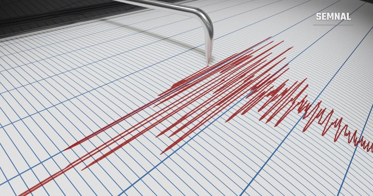 Seismograf, imagine cu caracter ilustrativ