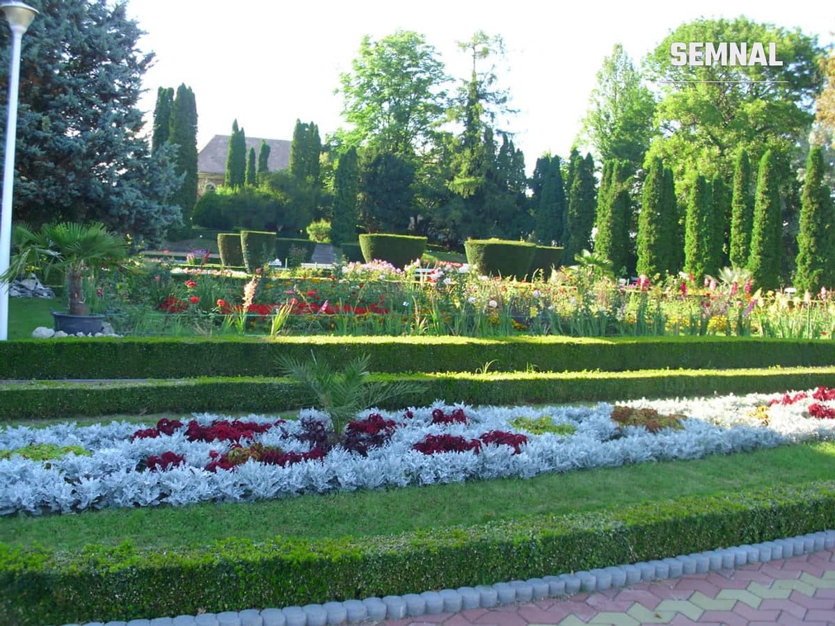 Alee cu vegetație densă și copaci înalți în Grădina Botanică din Jibou, fostul parc al Castelului Wesselényi