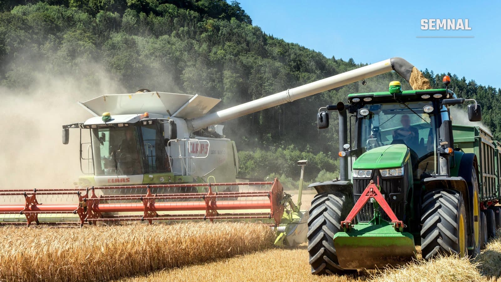 Combină agricolă și tractor lucrează într-un lan de grâu în timpul recoltei