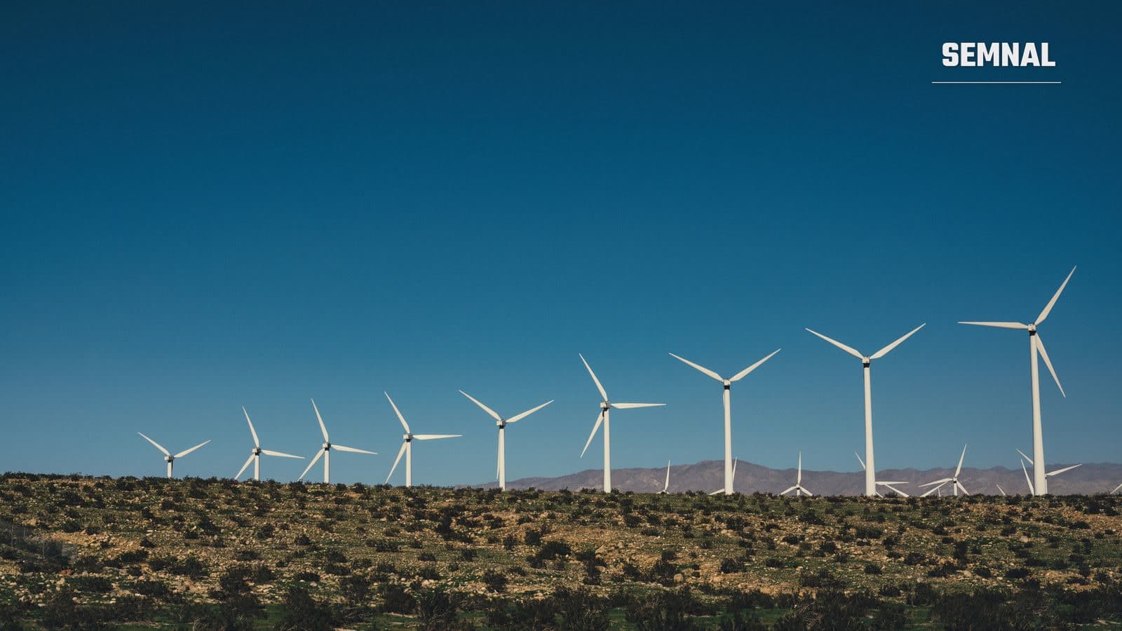 Rând de turbine eoliene albe, cu trei pale, montate pe un teren agricol întins, sub un cer senin, ilustrând un parc eolian similar celui planificat în Buzău