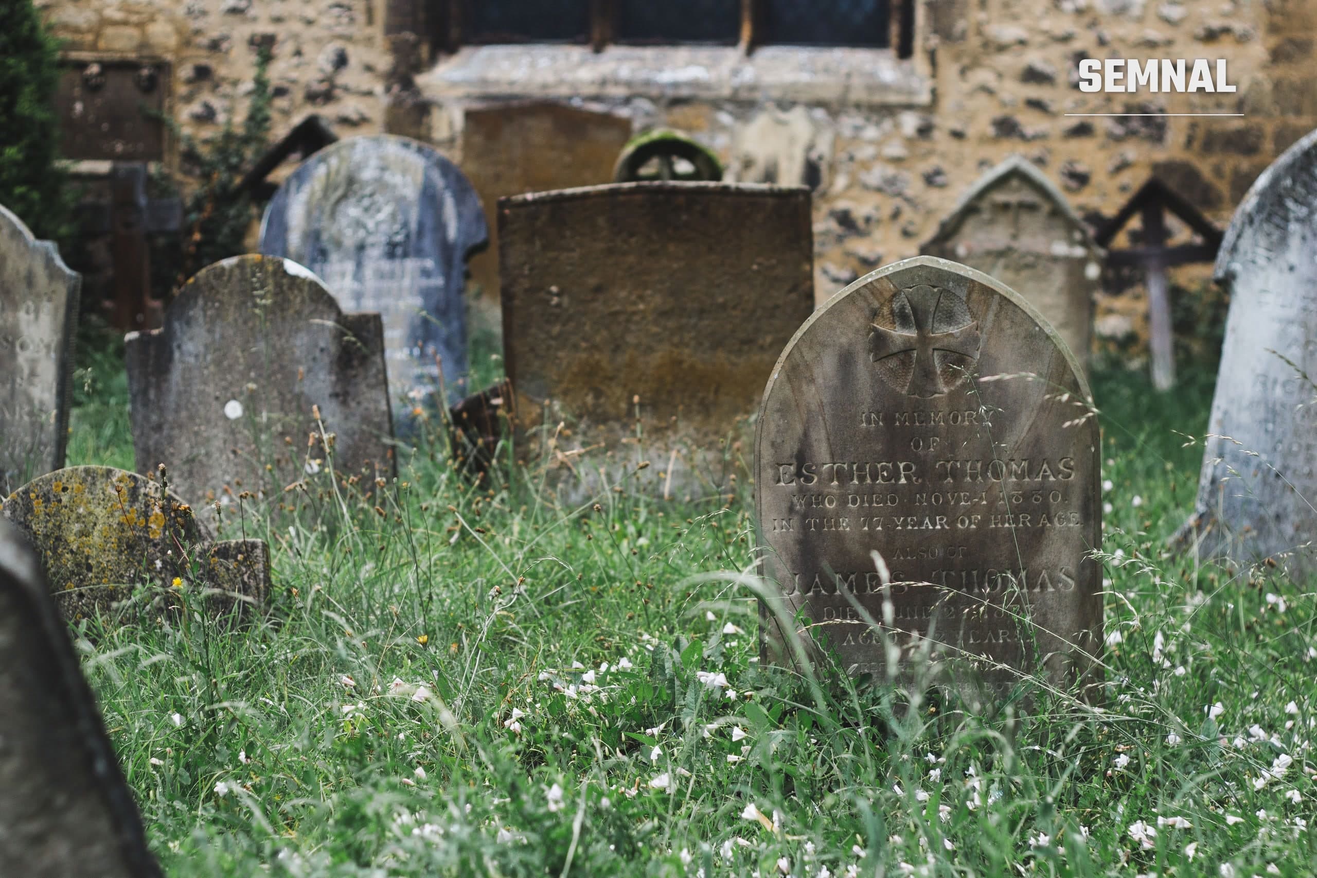 Cimitir, imagine ilustrativă (Foto: Vladimir Gladkov / Pexels)