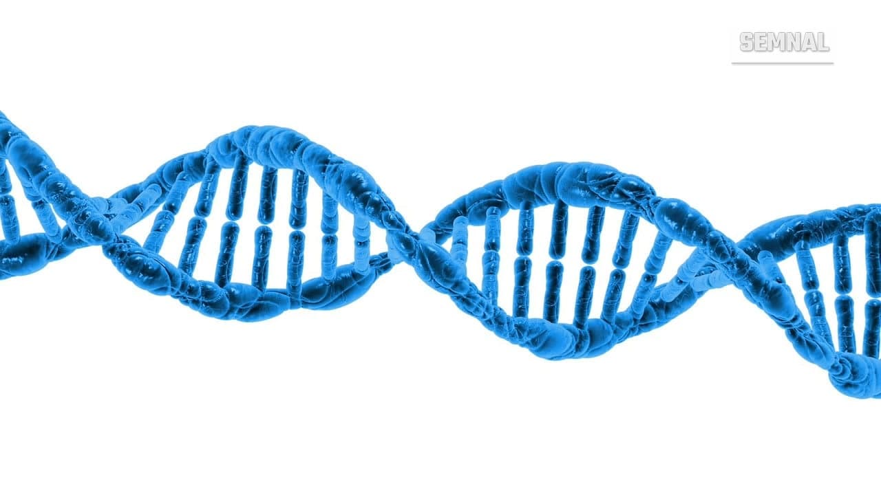Ilustrație a unei molecule de ADN, simbol pentru cercetarea genetică și îmbătrânirea biologică