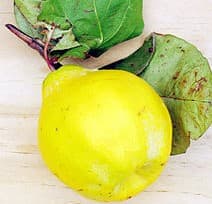 Gutuia