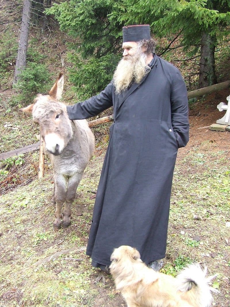 A murit pustnicul Onufrie, cel care trăia în munți