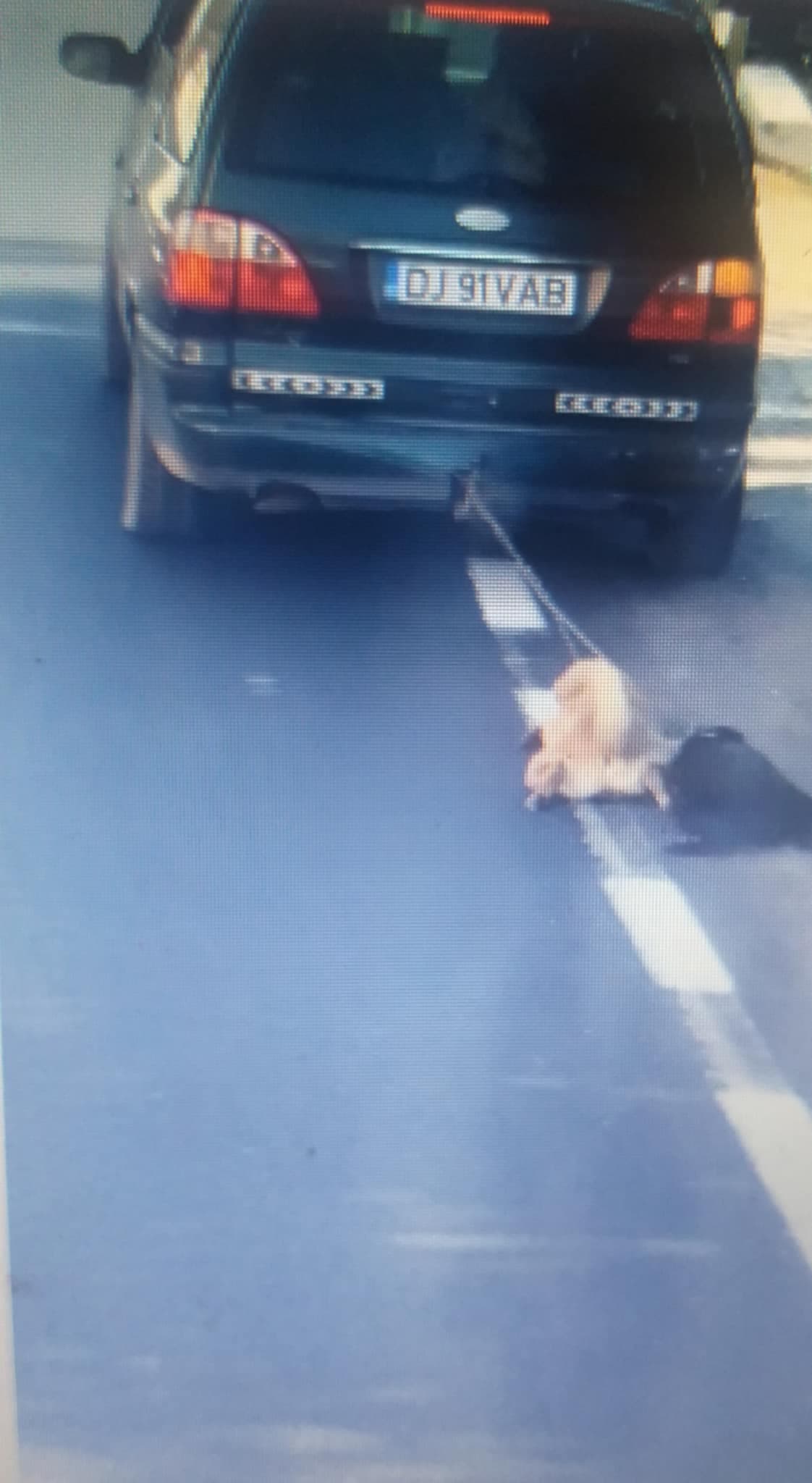Ce inimă trebuie să ai să faci așa ceva? Doi pui de cățel târâți de o mașină în Maglavit