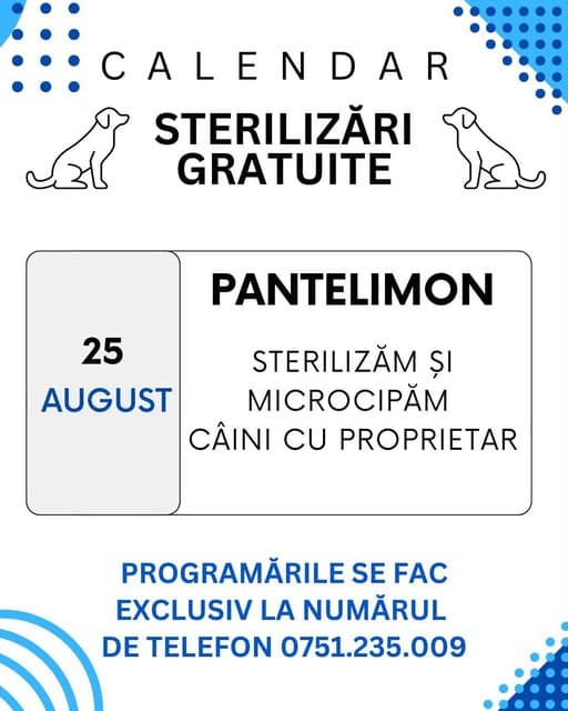 Campanie gratuită de sterilizare și microcipare a câinilor în Pantelimon