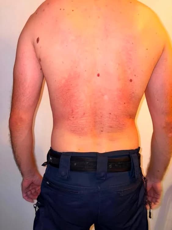 Polițist neidentificabil, din spate, echipat cu vestă de protecție tactică, ilustrație generică