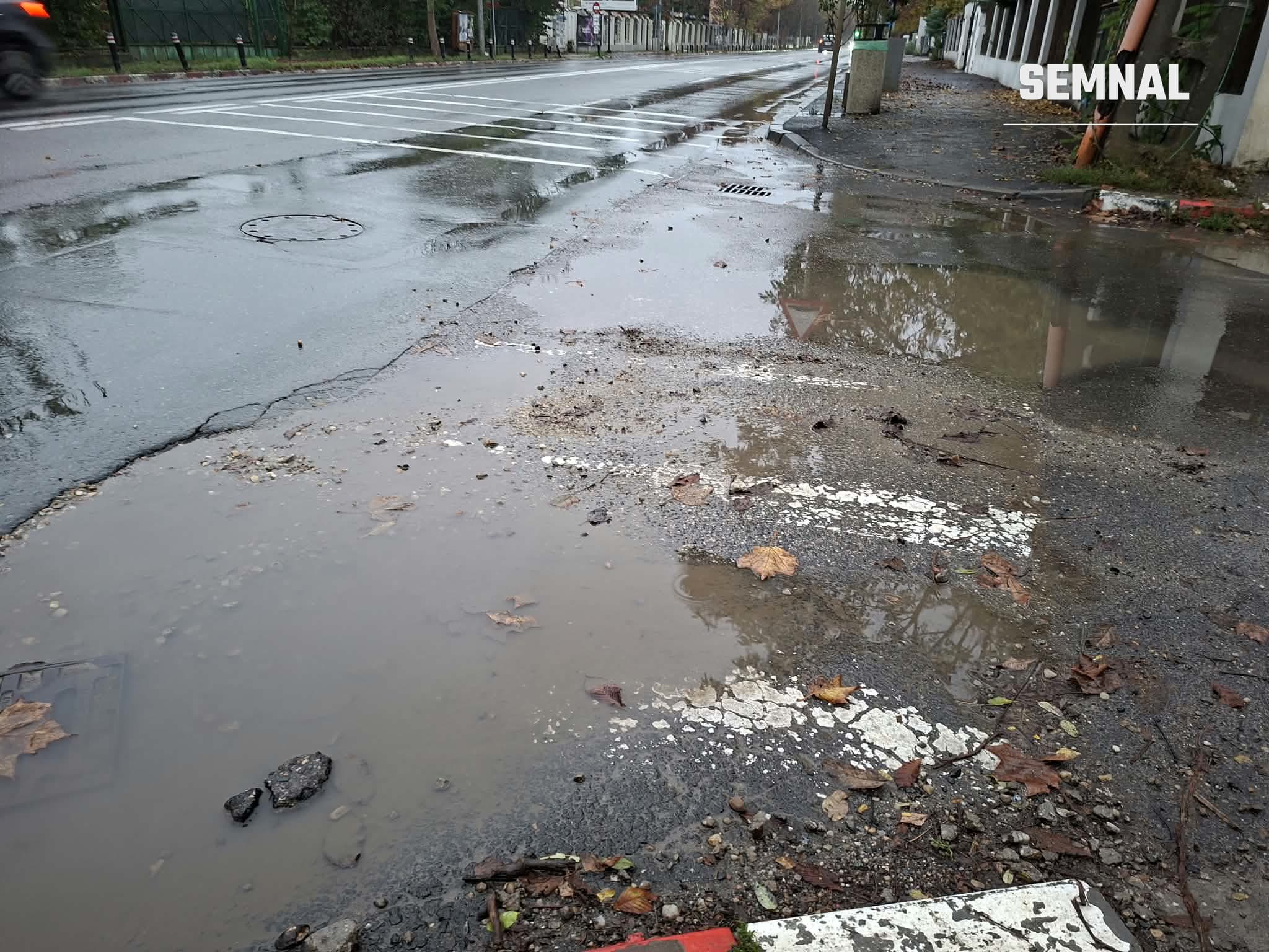 În imagine este o porțiune din trotuarul de pe strada Erou Iancu Nicolae, dinspre Lidl spre Zoo Băneasa. Bălți, noroaie, borduri rupte. Foto Dana Mateescu