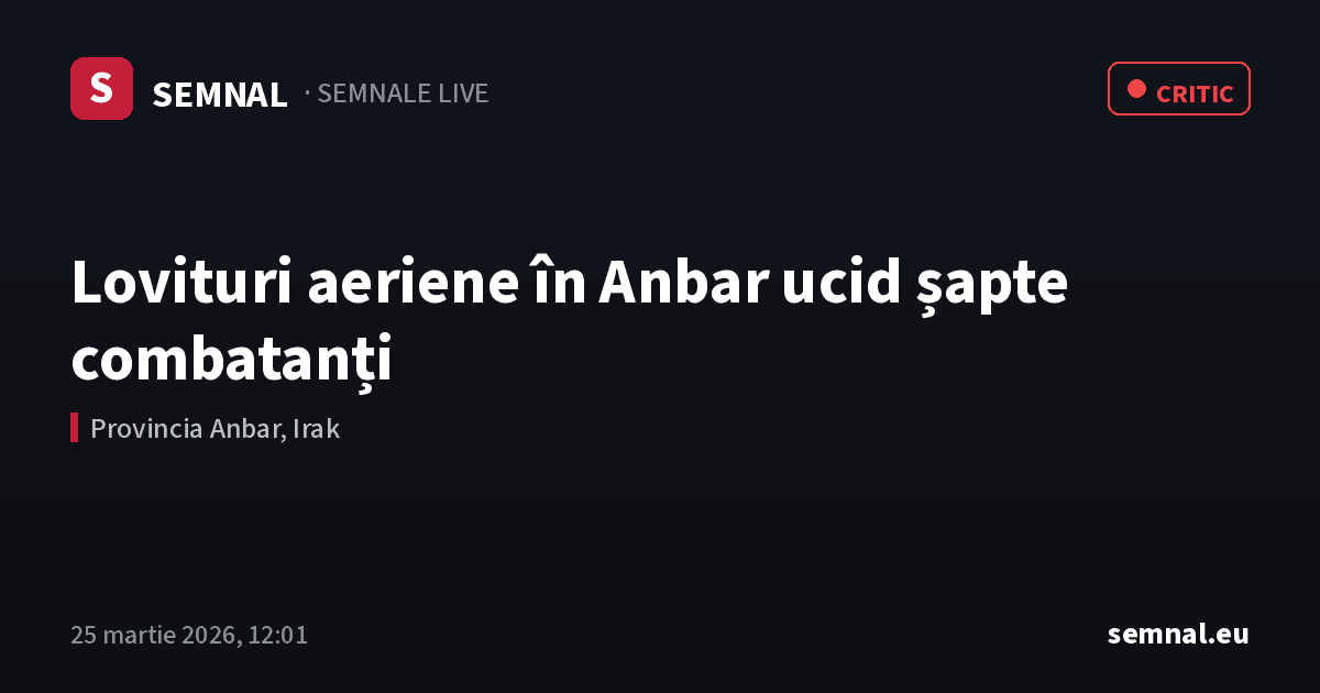 Lovituri aeriene în Anbar ucid șapte combatanți — Semnale