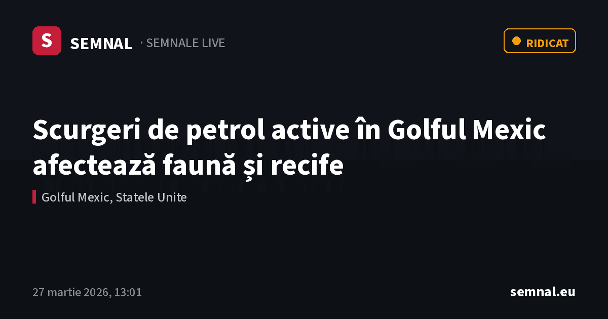 Scurgeri de petrol active în Golful Mexic afectează faună și recife — Semnale