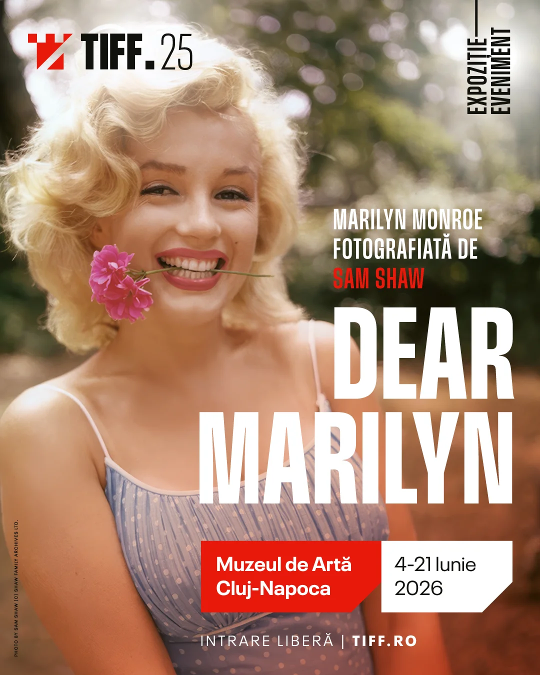 post dear-marylin_1080x1350-px