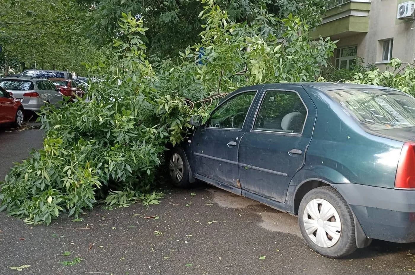 Bucureștiul, afectat de ploi torențiale și inundații